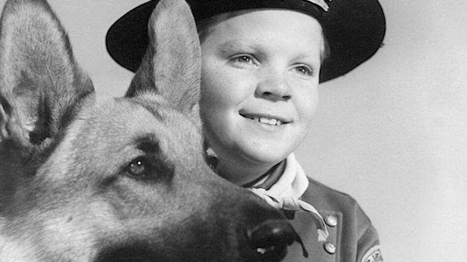 Murió en plena indigencia la estrella infantil que protagonizó "Rin Tin Tin"