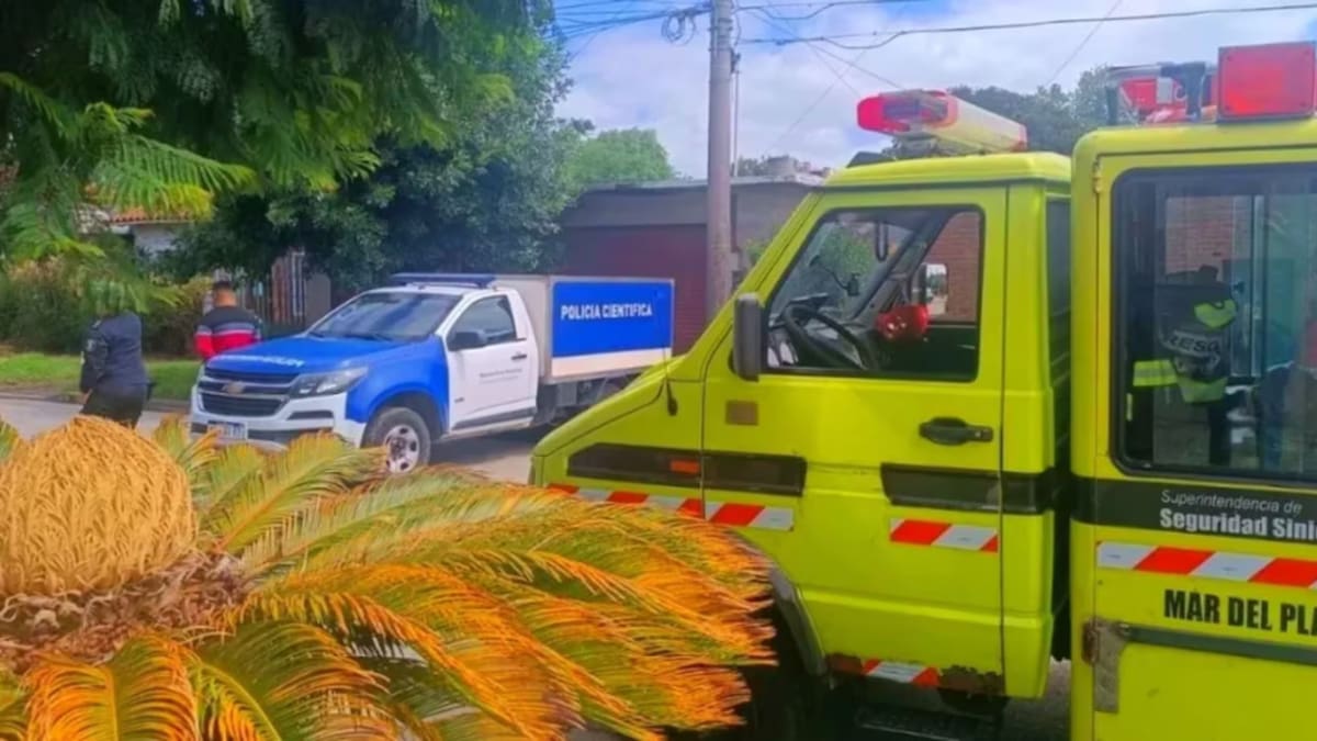 Encontraron un cadáver en el techo de una casa en Mar del Plata. Foto: 0223