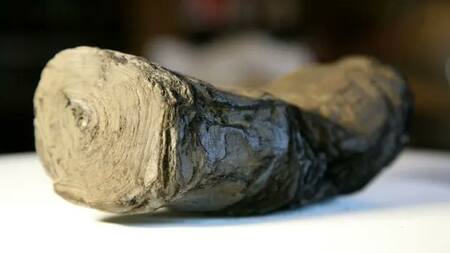 Papiro carbonizado. Foto: X