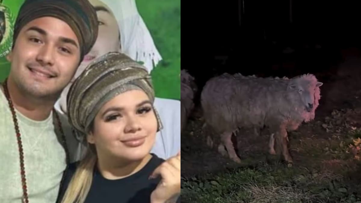Desgarrador video: salvaron animales que iban a ser sacrificados en un templo umbanda que visitaba Morena Rial