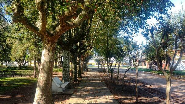 No es Carlos Keen: el pueblito rural a 3 horas del Obelisco ideal para planear un picnic en familia y disfrutar del aire puro