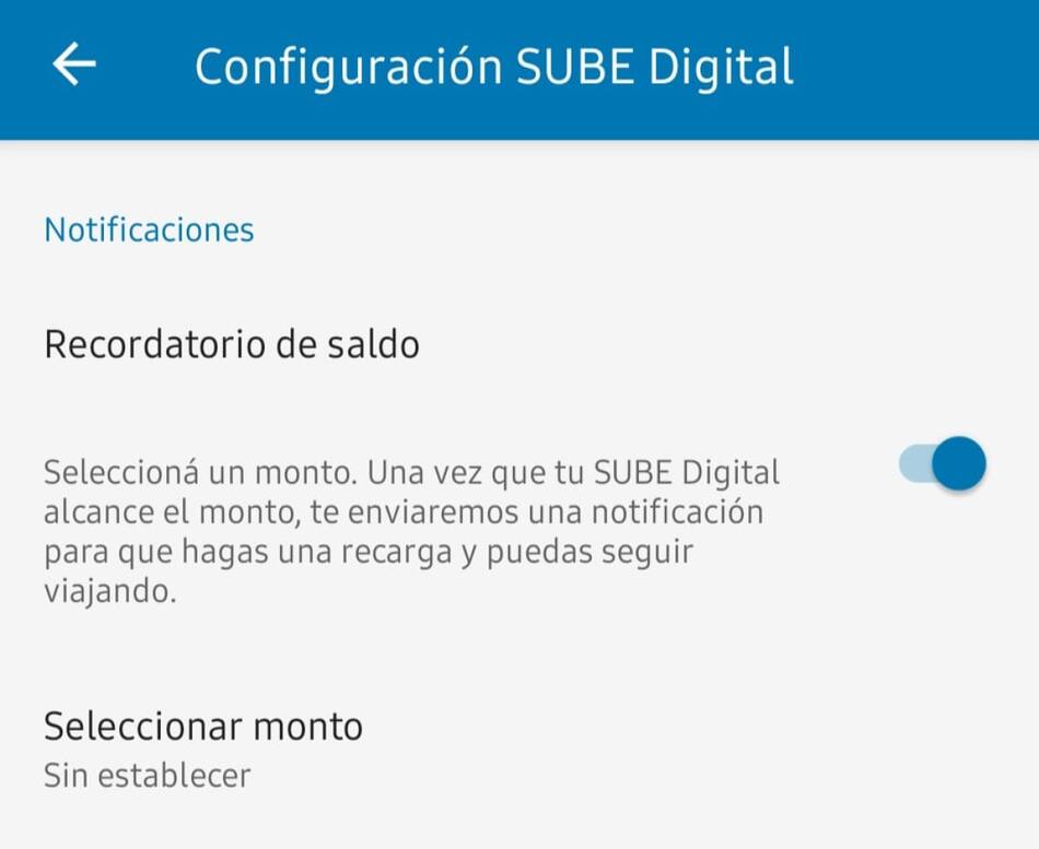 Configuración en la aplicación de la SUBE. Foto: captura Canal 26.