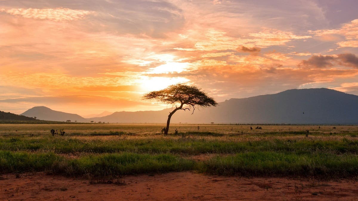 Kenia, África.