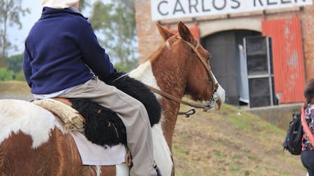Lugares imperdibles muy cerca de la ciudad de Buenos Aires.