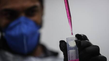 Coronavirus, pandemia. Foto: EFE.