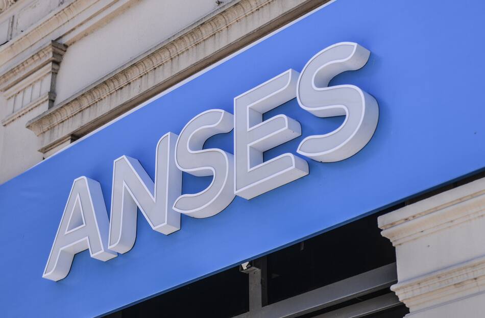 ANSES. Foto: NA