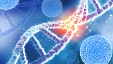 La Enfermedad de Fabry es una de las denominadas poco frecuente. Foto: NA