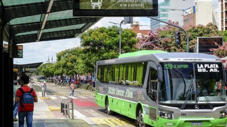Colectivos. Foto: NA.