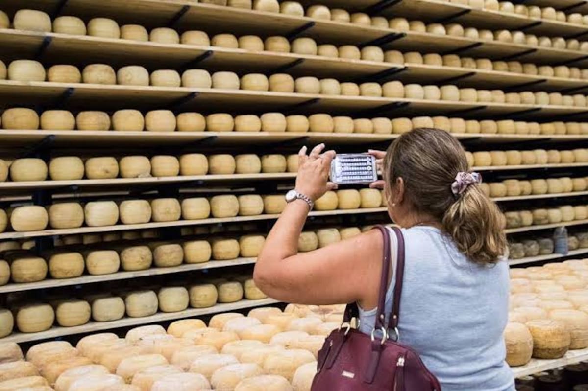 Variedad de quesos artesanales expuestos en el Festival del Queso de Los Toldos, con productos regionales como Gouda, en un evento gastronómico abierto al público