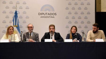 Diputados de Juntos por el Cambio. Foto: NA.