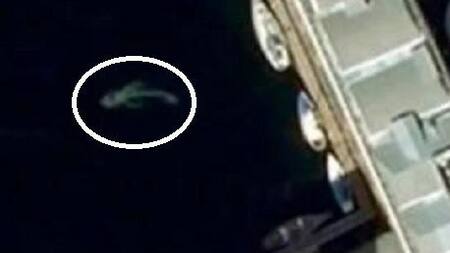 Google Maps - imagen