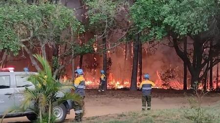 Incendios en Corrientes