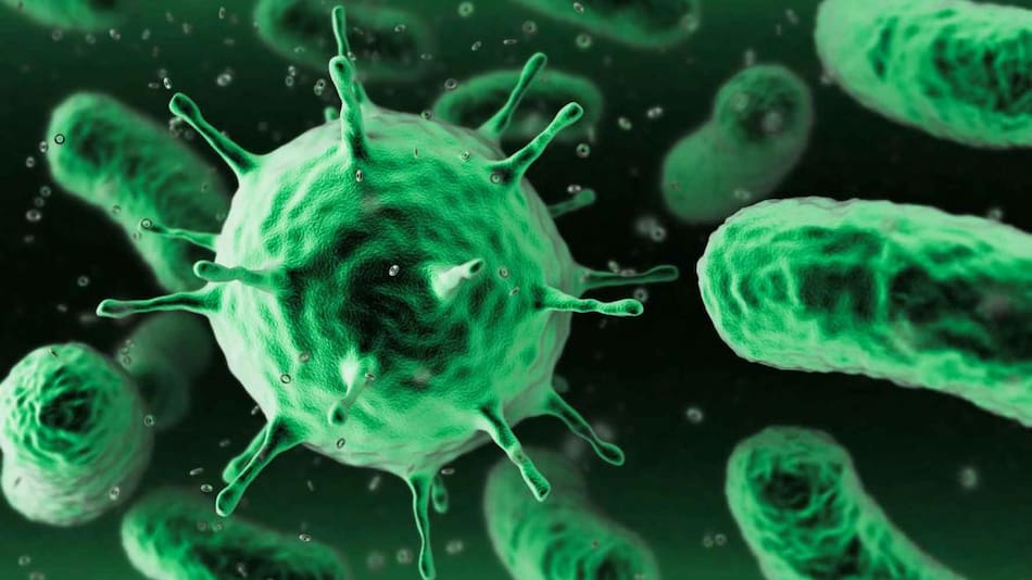 Bacteria, salud, ciencia