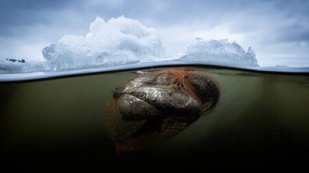 Medio Ambiente. Foto: Télam.