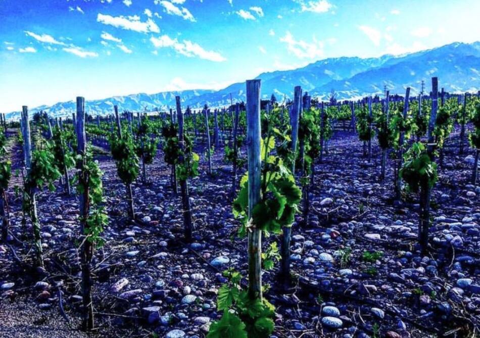 Los Chacayes, Mendoza. Foto: X