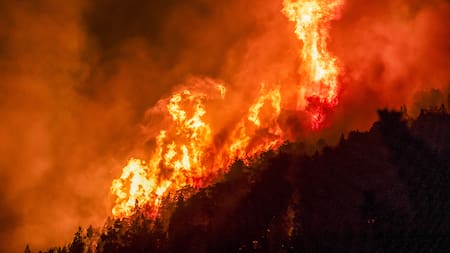 Piden declarar en emergencia la zona patagónica afectada por incendios forestales: “El desastre ambiental es tremendo”
