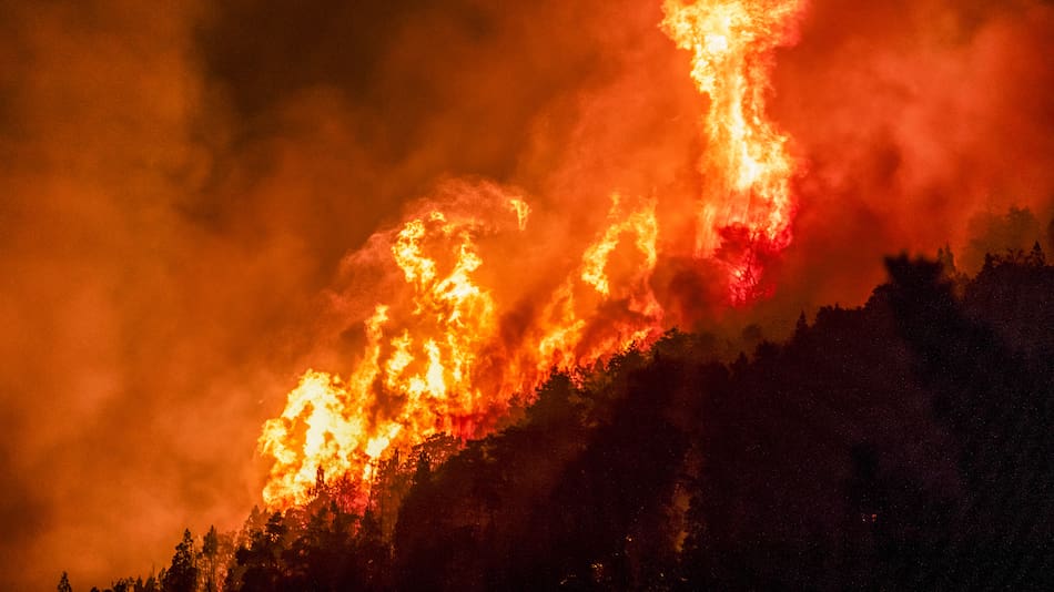 Más de cuatro mil hectáreas fueron arrasadas por los incendios en la Patagonia argentina.