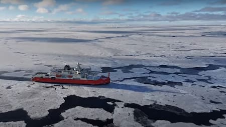Un grupo de investigadores encontró extrañas criaturas marinas durante una expedición a la Antártida. Foto: YouTube / Australian Antarctic Program Partnership.
