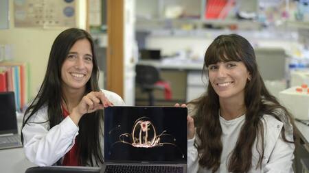 Descubren medusa "inmortal"_EFE