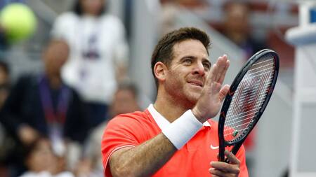 Victoria de Juan Martín Del Potro en ATP de Beijing (Reuters)