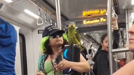 La mujer se alista para empezar su show junto a un loro en el subte. Foto: Captura de video.