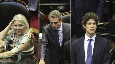 Carrió, Rossi y Lousteau juraron como nuevos diputados