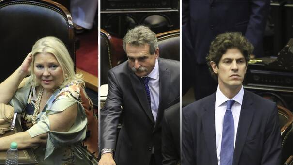 Carrió, Rossi y Lousteau juraron como nuevos diputados