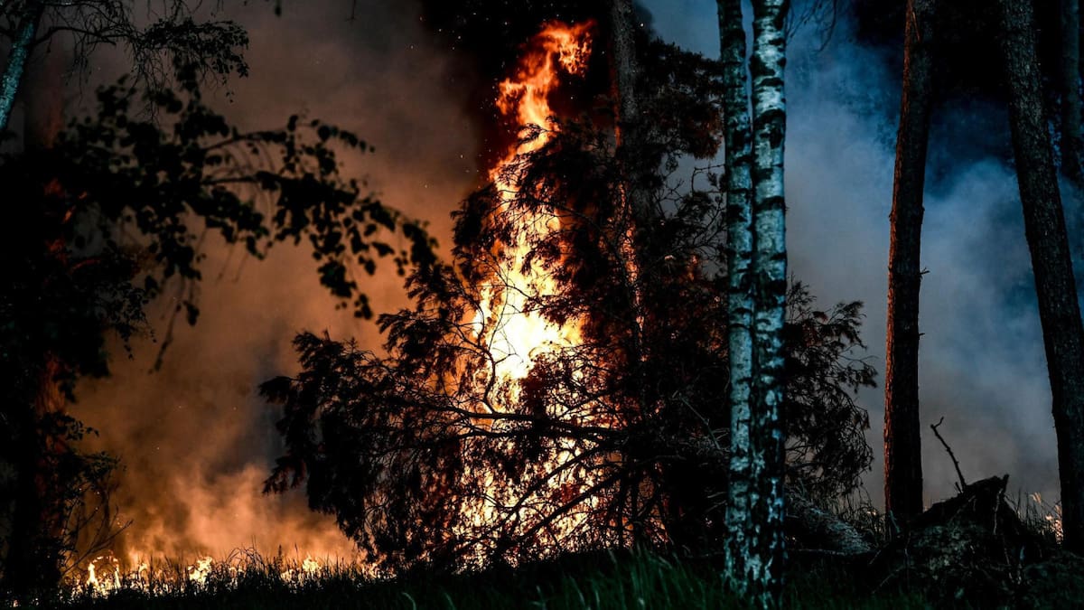El cambio climático, el drama actual de la naturaleza y las sociedades. Foto: EFE.