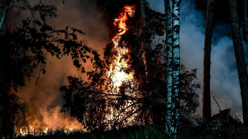 El cambio climático, el drama actual de la naturaleza y las sociedades. Foto: EFE.