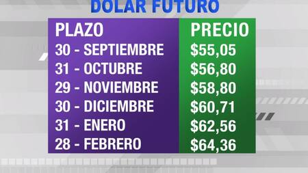 Dólar futuro, cotizaciones septiembre 2019 febrero 2020, economía argentina, CANAL 26