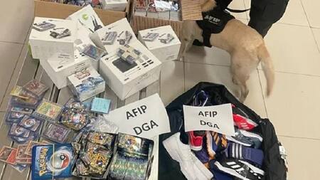 Aduana detectó drones, equipamiento médico y cartas de Pokemón sin declarar