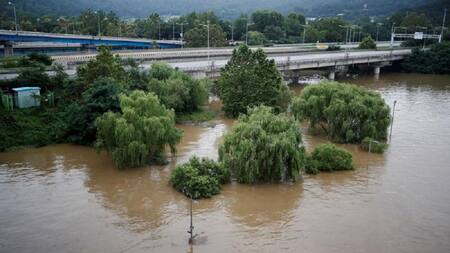 Lluvias en Corea del Norte. Foto: Reuters.