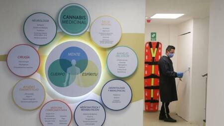 Clínica de marihuana medicinal abre en Colombia para curar el cuerpo y la mente durante pandemia, REUTERS
