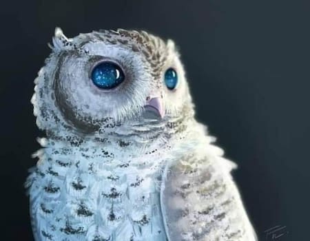 El búho Zeus. Foto: Instagram @primerafilaconcecygutierrez