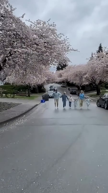 Luisana Lopilato, Michael Bublé y sus hijos. Fuente: Captura