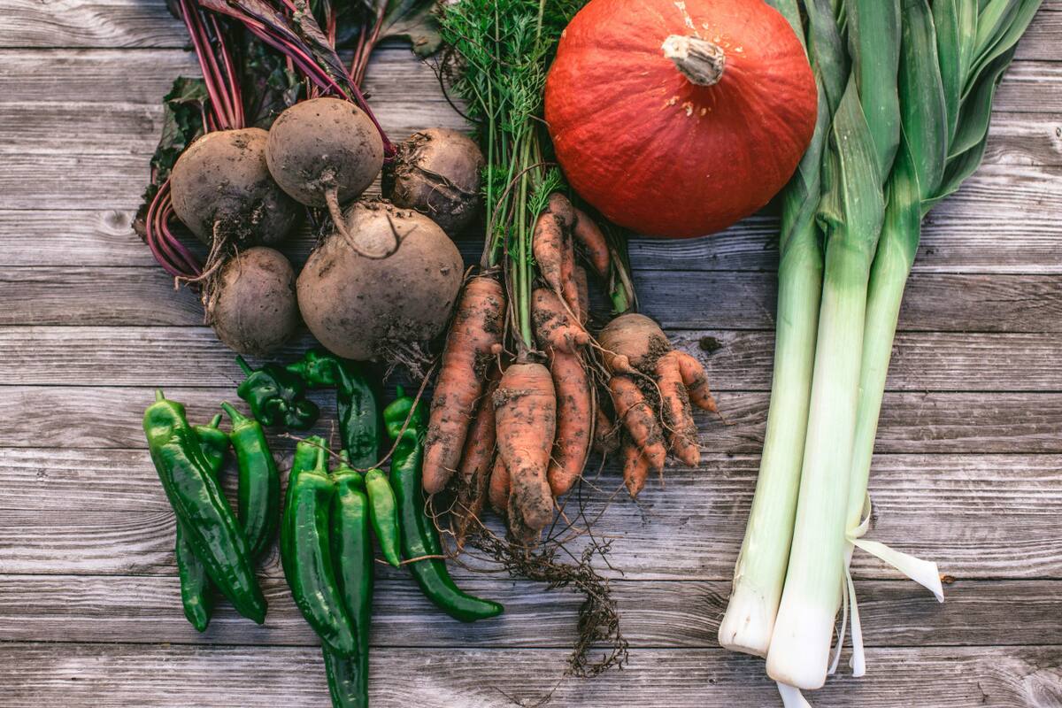 Alimentación a base de plantas. Foto: Unsplash