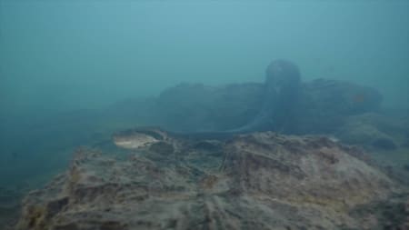 Freek Vonk descubrió la serpiente más grande del mundo. Foto: Instagram @freekvonk