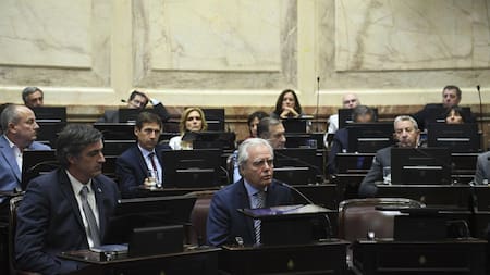 Senado, Federico Pinedo, autoridades, NA