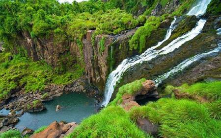 Las Yungas jujeñas. Foto: X