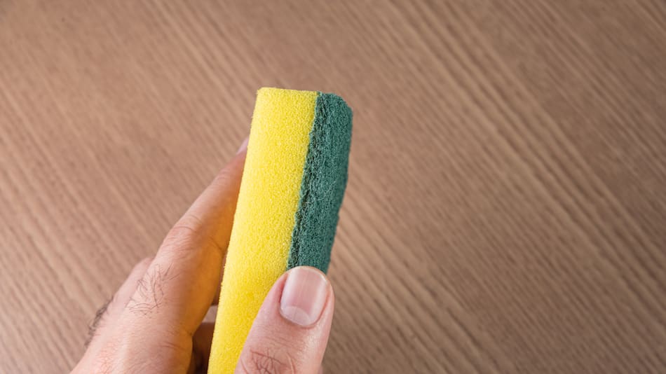 ¿Por qué la esponja tiene dos colores?