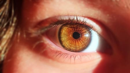 Día Mundial de la Visión: el 80% de los casos de ceguera pueden ser evitados