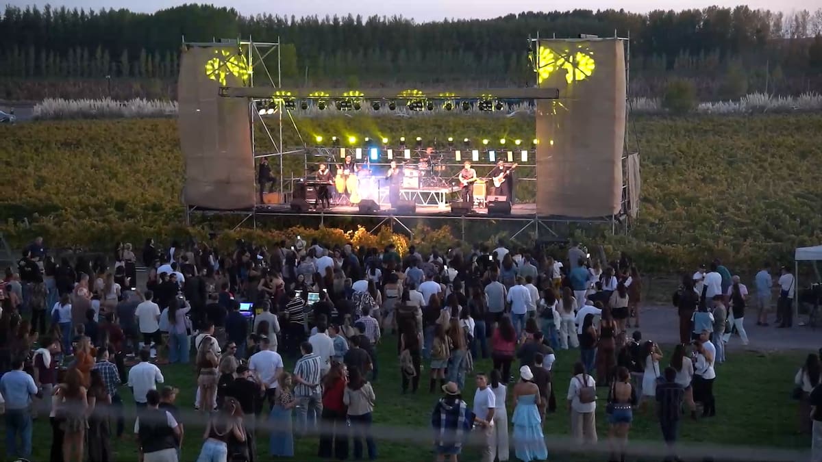 Malma Sunset Cierre Vendimia, en Neuquén