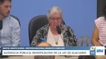 VIDEO: la fuerte denuncia de la autora de la vigente Ley de Glaciares durante la audiencia pública para tratar su modificación