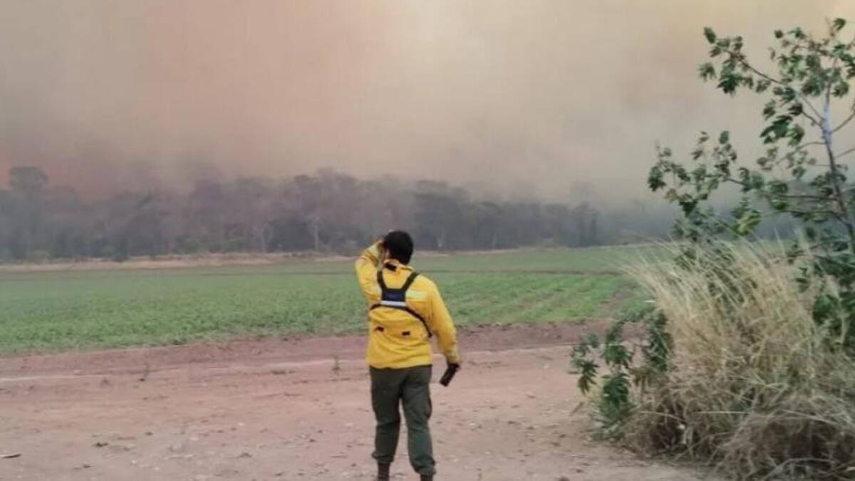 Incendios en Jujuy. Foto: NA.