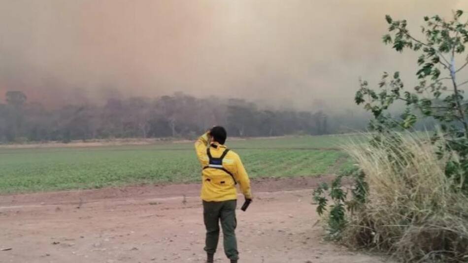 Incendios en Jujuy. Foto: NA.
