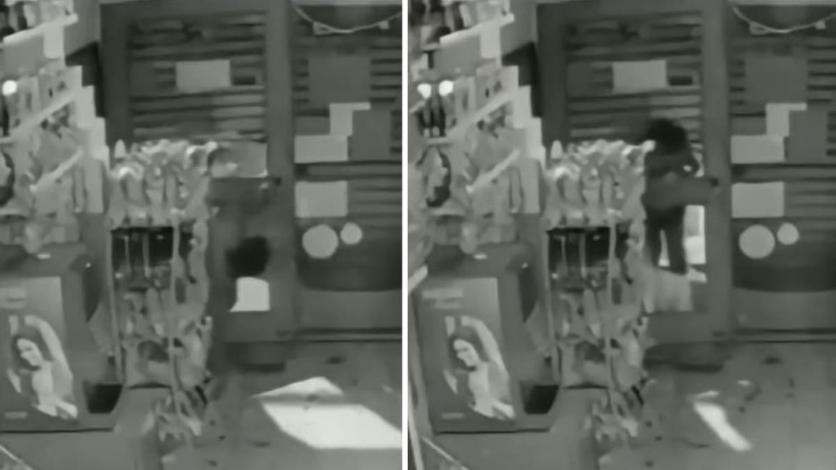 Un nene de 12 años robó $100.000 de un kiosco en La Plata. Foto: captura de video.