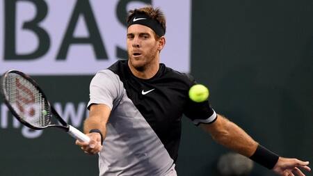 Juan Martín Del Potro (Reuters)