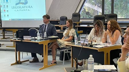 Caso Lucio Dupuy. Foto. Télam