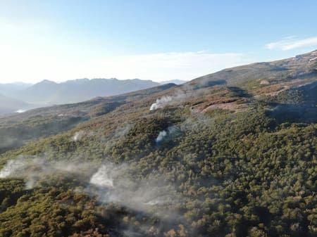 Incendio en el Parque Nacional Los Alerces. Foto: Télam.