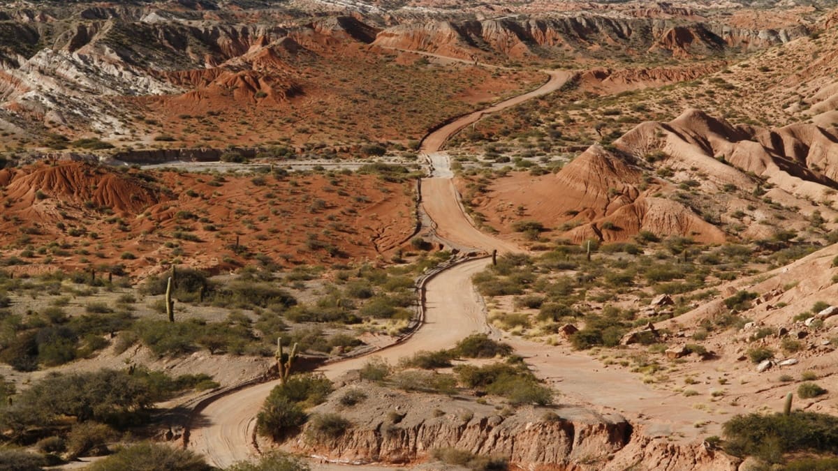 Ubicado en pleno corazón de los Valles Calchaquíes, este parque nacional sorprende con paisajes áridos, antiguos senderos prehispánicos y vistas panorámicas.